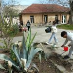Elevii de la Scoala Gimnaziala nr 5 Schela lectie practica de ecologie la Biblioteca Judeteana IG Bibicescu