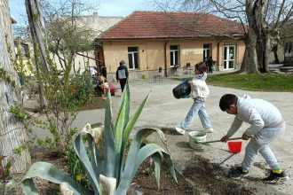 Elevii de la Scoala Gimnaziala nr 5 Schela lectie practica de ecologie la Biblioteca Judeteana IG Bibicescu