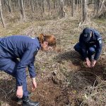 Solidaritate pentru natura copaci plantai pentru generatiile viitoare