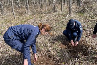 Solidaritate pentru natura copaci plantai pentru generatiile viitoare