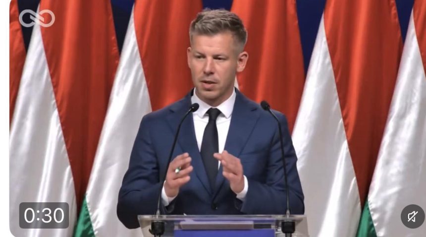Peter Magyar condamna sustinerea lui Orban pentru Simion si discuta despre tradare in Transilvania