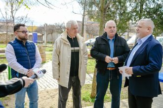 Spatiile verzi din Severin imbogatit cu noi copaci Unde se fac lucrari in aceasta perioada