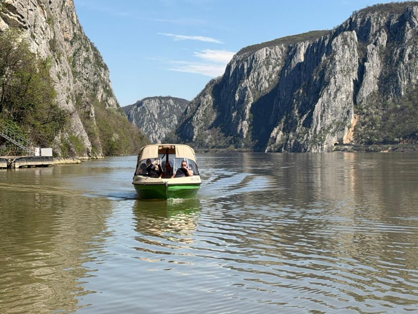 laleaua galbena atrage vizitatori in clisura dunarii