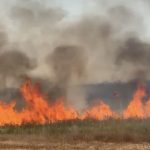 174 de hectare incendiate in Mehedinti incendiile de vegetatie continua sa se raspandesc