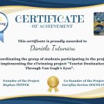 Arta care uneste continentele un nou sucres international pentru Colegiul National Traian