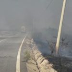 Flacarile au cuprins vegetatia uscat la Barda Pompierii se lupta cu un incendiu izbucnit in doua locuri diferite