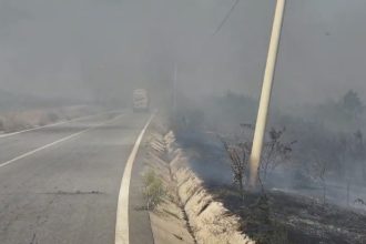 Flacarile au cuprins vegetatia uscat la Barda Pompierii se lupta cu un incendiu izbucnit in doua locuri diferite