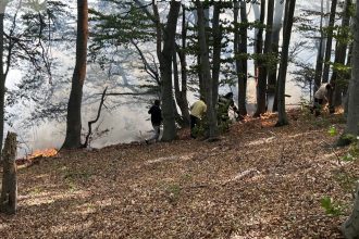 Flacarile au mistuit zeci de hectare la Podeni Pompierii se lupta sa limiteze incendiul