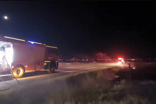 Incendiu puternic pe centura Severinului Flacarele au pus in pericol doua locuinte Trei hectare de vegetatie au fost distruse de foc