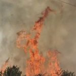Incendiul de la Barda a scapat de sub control Flacarele au trecut peste sosea si ameninta circulatia