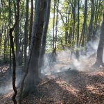 Incendiul din Podeni continua sa rage chiar si dupa trei zile Pompierii se confrunta cu focarele care mocnesc in padure