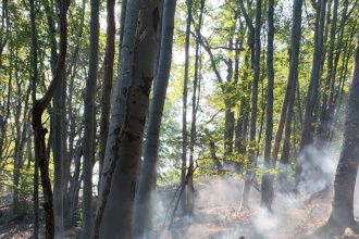 Incendiul din Podeni continua sa rage chiar si dupa trei zile Pompierii se confrunta cu focarele care mocnesc in padure