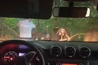 Suspiciuni de furt de lemne in Mehedinti Un angajat al Primariei Balta prins in padure cu remorca plina