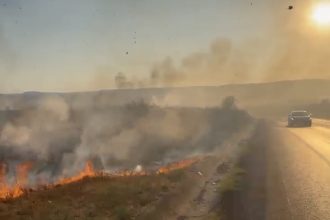 incendiu de vegetatie in cartierul schela din drobeta turnu severin fumul influentzeaza circulatia pe centura ocolitoare
