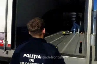 12 migranți, ascunși printre alune, descoperiți într-un camion la Calafat
