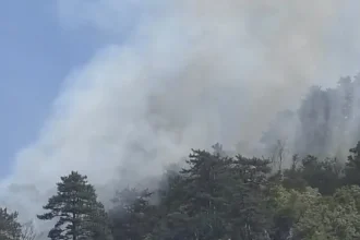 31 de incendii în 72 de ore în Mehedinți. Zeci de hectare de vegetație, afectate