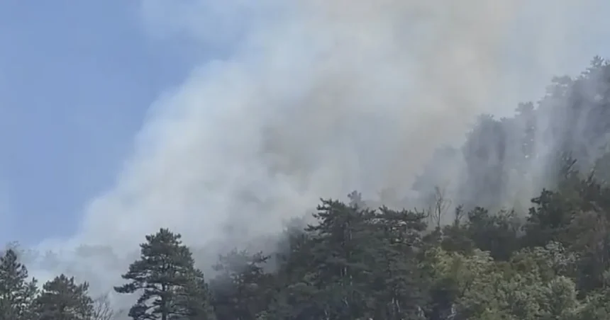 31 de incendii în 72 de ore în Mehedinți. Zeci de hectare de vegetație, afectate