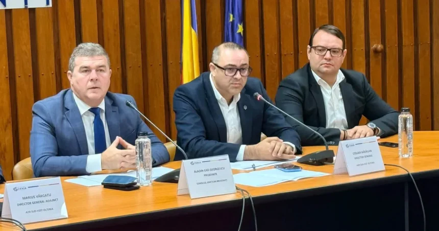 45 de proiecte de 60 de milioane de euro, analizate în Mehedinți