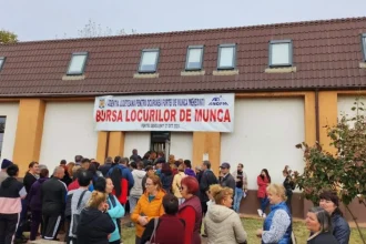 76 de joburi disponibile la Bursa absolvenților din Mehedinți