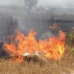 Incendii de vegetație în Hinova și Șimian
