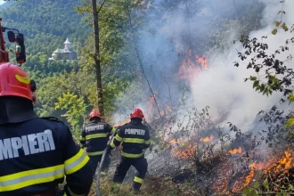 Incendii de vegetație în mai multe județe. Domogled-Valea Cernei, cea mai gravă situație