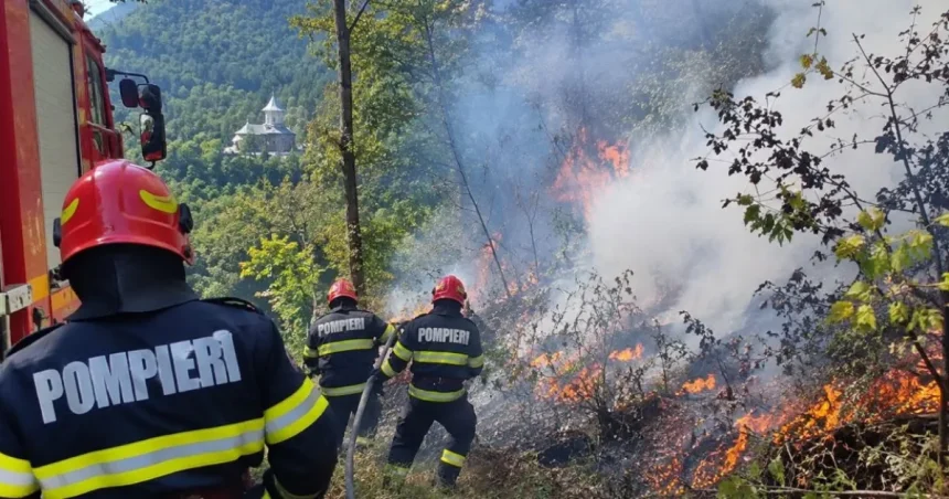 Incendii de vegetație în mai multe județe. Domogled-Valea Cernei, cea mai gravă situație