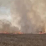 Incendii de vegetație în Mehedinți: flăcările amenință gospodării și DN6, zona Coramnic