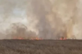 Incendii de vegetație în Mehedinți: flăcările amenință gospodării și DN6, zona Coramnic