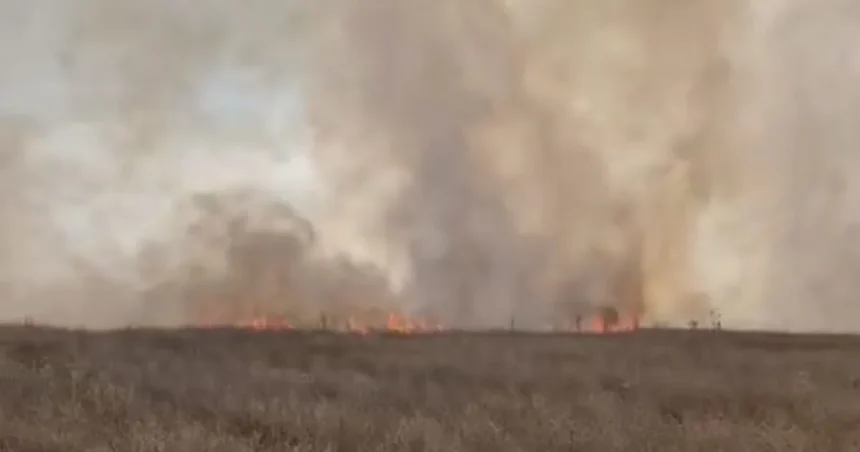 Incendii de vegetație în Mehedinți: flăcările amenință gospodării și DN6, zona Coramnic