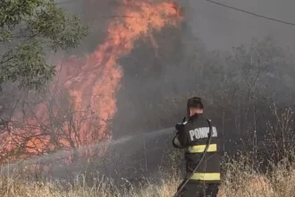 Incendii de vegetație în Mehedinți. Pompierii intervin la Drobeta și Noapteșa