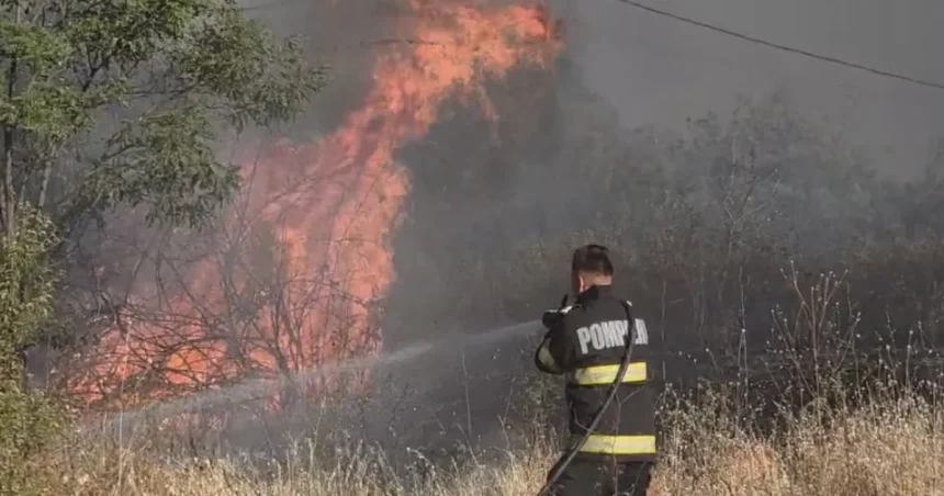 Incendii de vegetație în Mehedinți. Pompierii intervin la Drobeta și Noapteșa