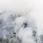 Incendiu în Domogled: 50 de tone de apă aruncate, flăcările ard
