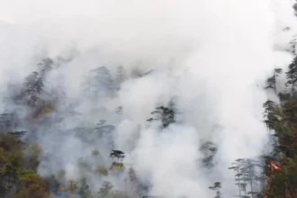 Incendiu în Domogled: 50 de tone de apă aruncate, flăcările ard
