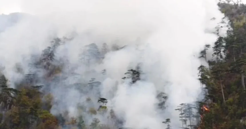 Incendiu în Domogled: 50 de tone de apă aruncate, flăcările ard