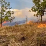 Incendiu la Bobaița, Mehedinți: Pompierii au salvat două locuințe