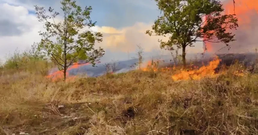 Incendiu la Bobaița, Mehedinți: Pompierii au salvat două locuințe