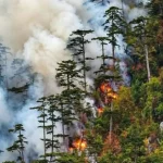 Incendiul din Domogled continuă: 400 ha afectate, două elicoptere intervin