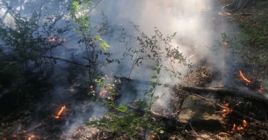 Incendiul din Podeni continuă a patra zi. Elicopter solicitat pentru stingere