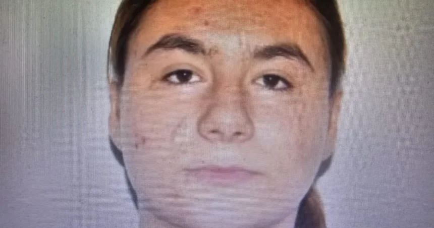 Minora de 15 ani dispărută din centrul DGASPC Severin. Poliția cere ajutorul populației