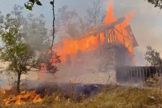 Pompierii din Mehedinți intervin pentru stingerea a 15 incendii de vegetație uscată