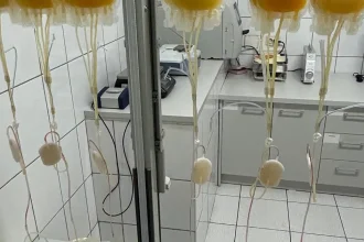 Premieră la Centrul de Transfuzii București: produs nou pentru trombocite