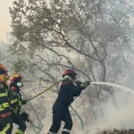 Trei incendii de vegetație în Mehedinți. Pompierii intervin în zone greu accesibile