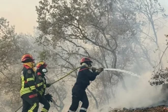 Trei incendii de vegetație în Mehedinți. Pompierii intervin în zone greu accesibile