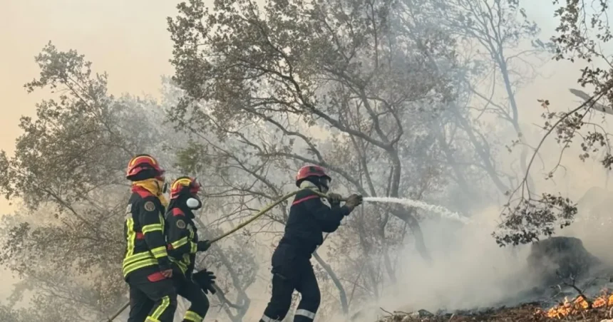 Trei incendii de vegetație în Mehedinți. Pompierii intervin în zone greu accesibile