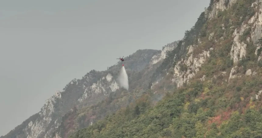 140 de oameni și două Black Hawk luptă cu incendiile din Domogled – Valea Cernei