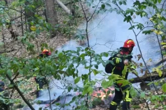 Apel pentru voluntari în zona Crivița: focul riscă să coboare spre sat