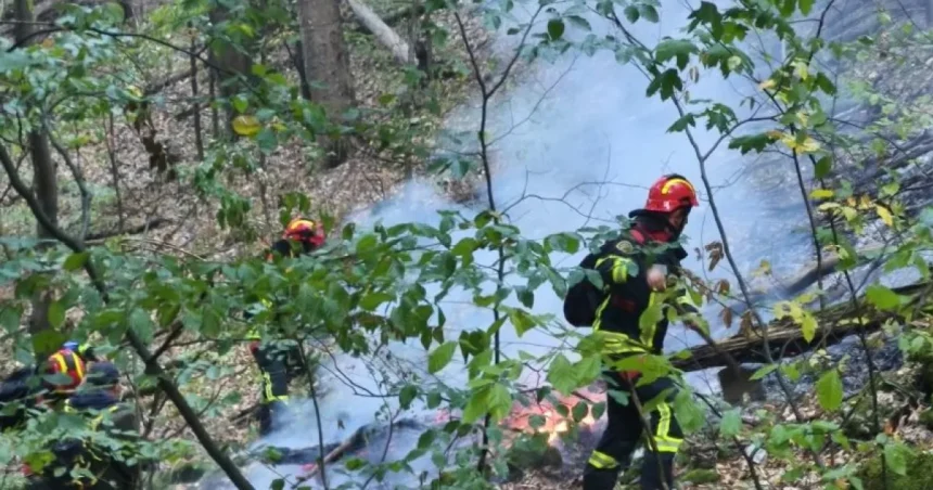 Apel pentru voluntari în zona Crivița: focul riscă să coboare spre sat