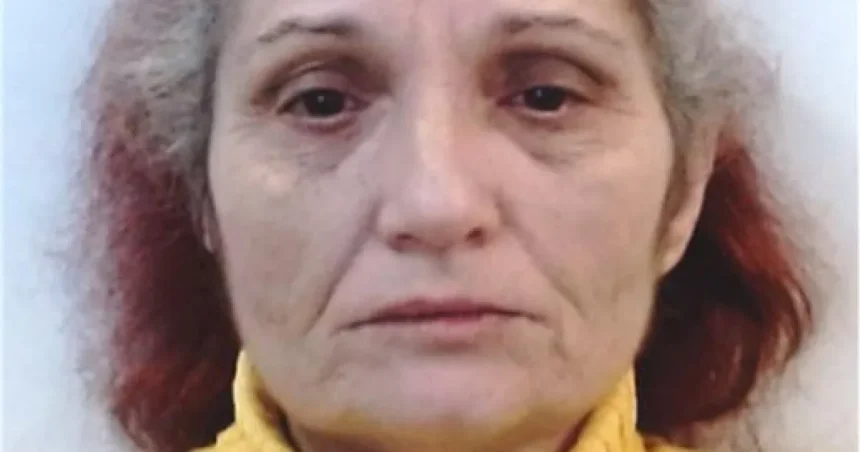 Femeie din Mehedinți dată dispărută după plecarea din Germania către România