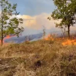Incendiere vegetație uscată lăsată nesupravegheată. Amendă de 15.000 de lei