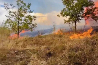 Incendiere vegetație uscată lăsată nesupravegheată. Amendă de 15.000 de lei